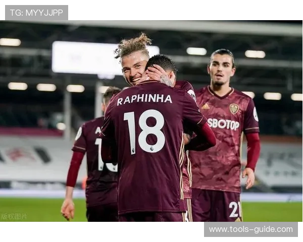 拉菲尼亚终结效率如何解读？关键战表现与稳定性分析